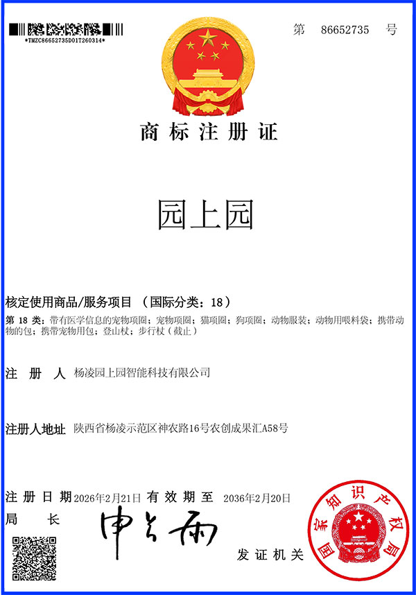 国内商标-文字